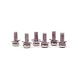 Rose zinc precision sems screws with spring washers